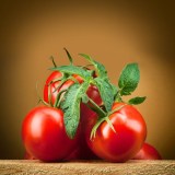 Tomatoes-600x600
