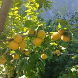 photo_2025-10-08_09-46-53