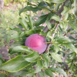 photo_2025-10-08_09-54-55