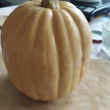 photo_2025-11-17_14-12-23