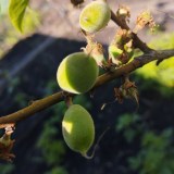 photo_2025-05-11_12-23-37