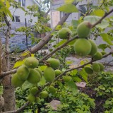 photo_2025-05-21_13-05-02