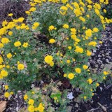 photo_2025-10-27_05-59-11