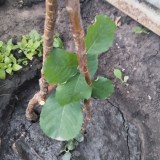 photo_2025-10-27_06-08-38