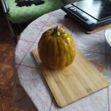 Баттернат2024