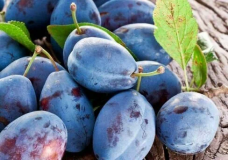 Деликатесная