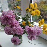 изображение_viber_2024-10-06_17-14-59-390